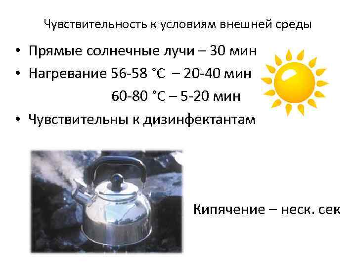 Чувствительность к условиям внешней среды • Прямые солнечные лучи – 30 мин • Нагревание