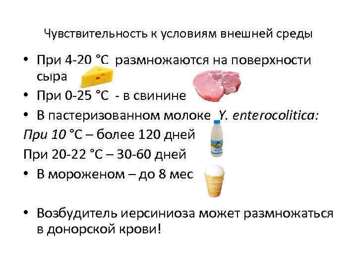 Чувствительность к условиям внешней среды • При 4 -20 °C размножаются на поверхности сыра