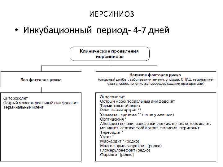 ИЕРСИНИОЗ • Инкубационный период- 4 -7 дней 