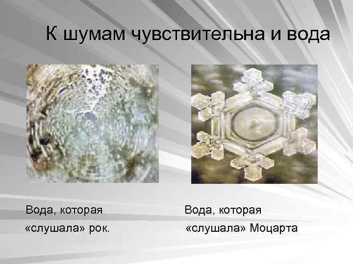 К шумам чувствительна и вода Вода, которая «слушала» рок. «слушала» Моцарта 