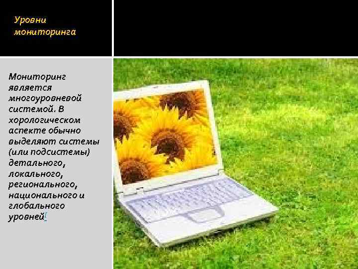 Уровни мониторинга Мониторинг является многоуровневой системой. В хорологическом аспекте обычно выделяют системы (или подсистемы)