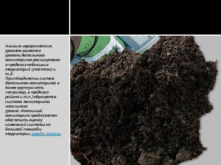 Низшим иерархическим уровнем является уровень детального мониторинга реализуемого в пределах небольших территорий (участков) и