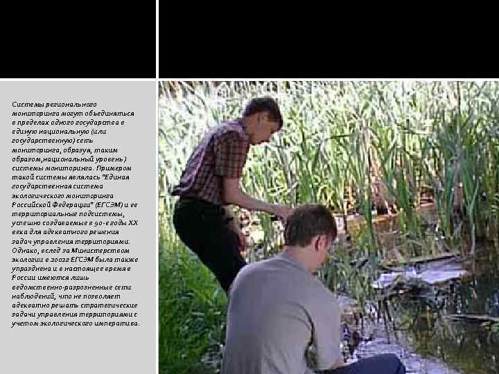 Системы регионального мониторинга могут объединяться в пределах одного государства в единую национальную (или государственную)