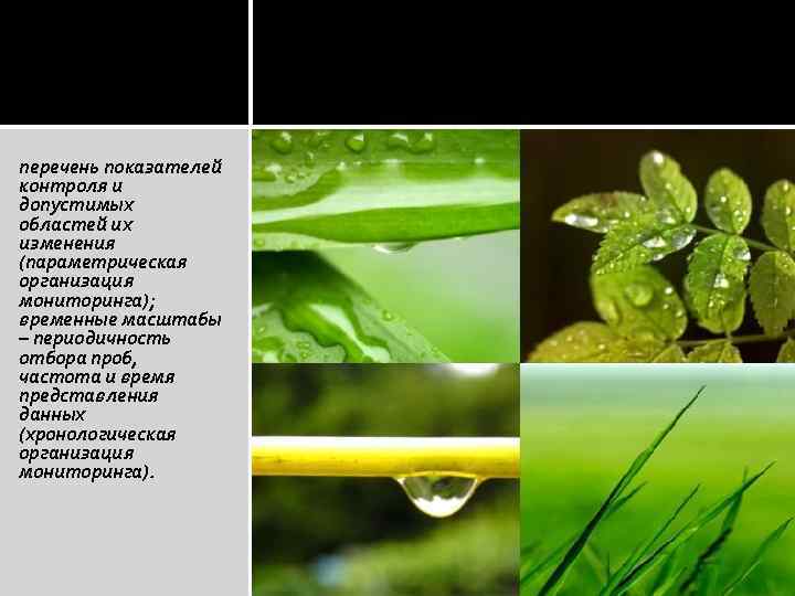 перечень показателей контроля и допустимых областей их изменения (параметрическая организация мониторинга); временные масштабы –