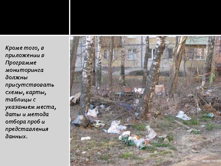 Кроме того, в приложении в Программе мониторинга должны присутствовать схемы, карты, таблицы с указанием