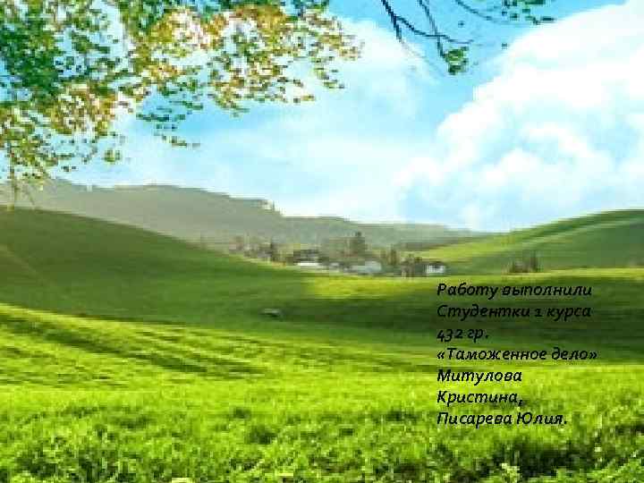 Работу выполнили Студентки 1 курса 432 гр. «Таможенное дело» Митулова Кристина, Писарева Юлия. 