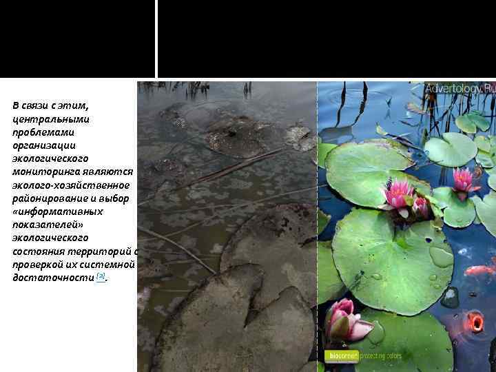 В связи с этим, центральными проблемами организации экологического мониторинга являются эколого-хозяйственное районирование и выбор