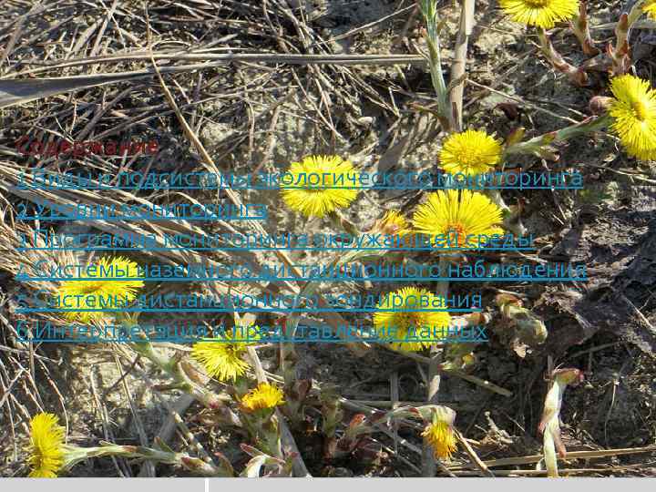 Содержание 1 Виды и подсистемы экологического мониторинга 2 Уровни мониторинга 3 Программа мониторинга окружающей