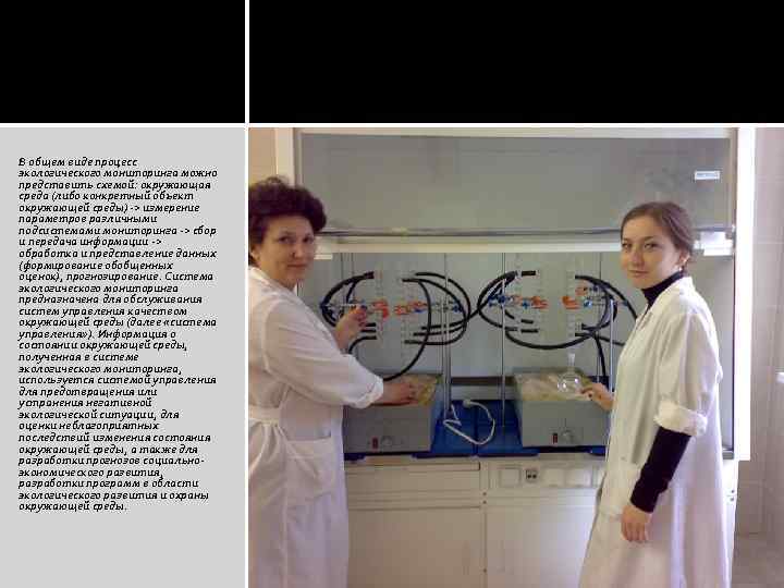 В общем виде процесс экологического мониторинга можно представить схемой: окружающая среда (либо конкретный объект