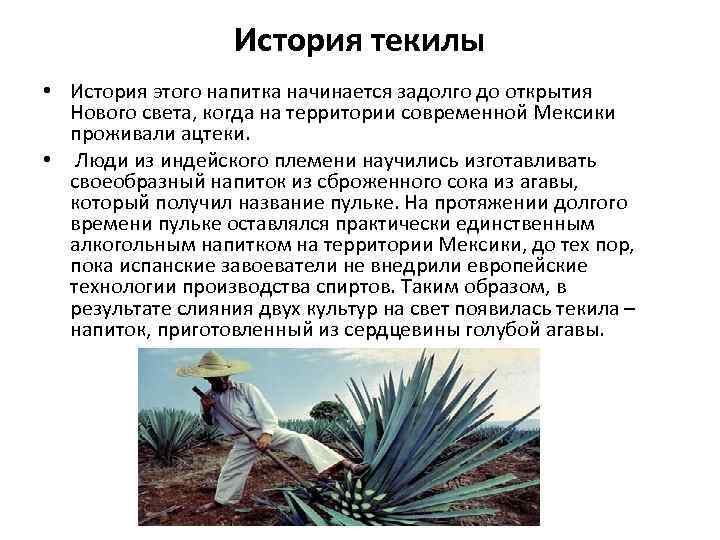 История текилы • История этого напитка начинается задолго до открытия Нового света, когда на