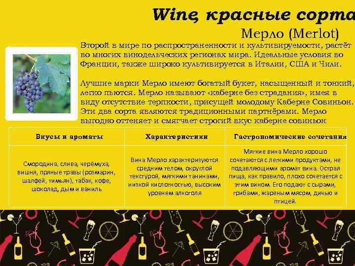 Wine красные сорта , Мерло (Merlot) Второй в мире по распространенности и культивируемости, растёт