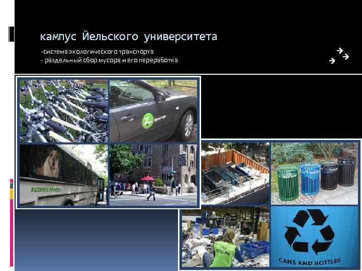 кампус Йельского университета -система экологического транспорта - раздельный сбор мусора и его переработка 