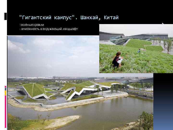 "Гигантский кампус". Шанхай, Китай -зелёные кровли - вписанность в окружающий ландшафт 