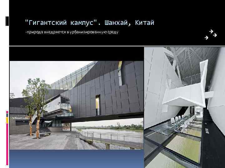 "Гигантский кампус". Шанхай, Китай -природа внедряется в урбанизированную среду 