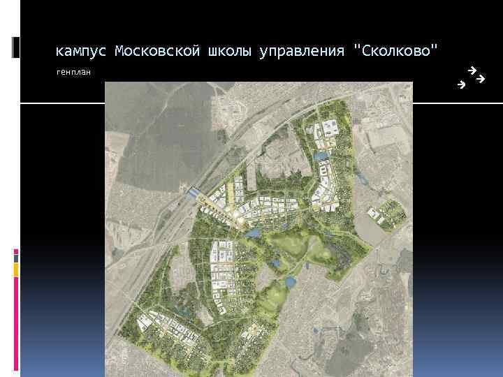 кампус Московской школы управления "Сколково" генплан 