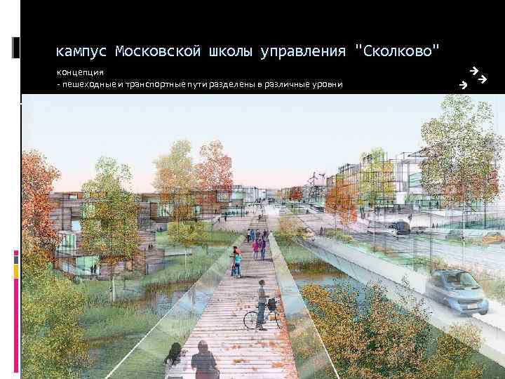 кампус Московской школы управления "Сколково" концепция - пешеходные и транспортные пути разделены в различные
