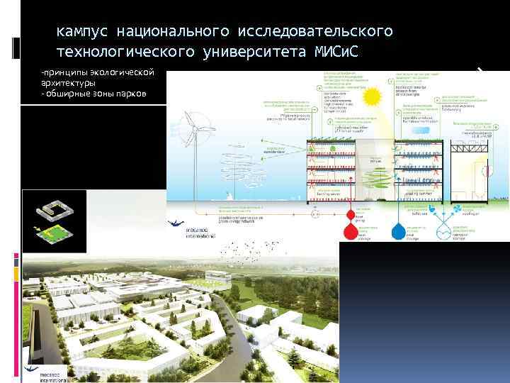 Проект кампуса в хабаровске