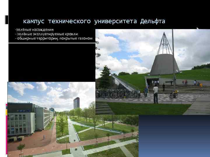 кампус технического университета Дельфта -зелёные насаждения - зелёные эксплуатируемые кровли - обширные территории, покрытые