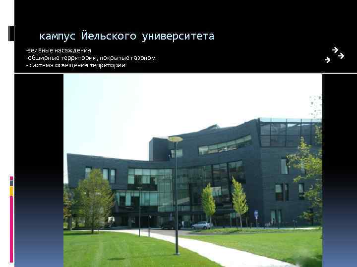 кампус Йельского университета -зелёные насаждения -обширные территории, покрытые газоном - система освещения территории 