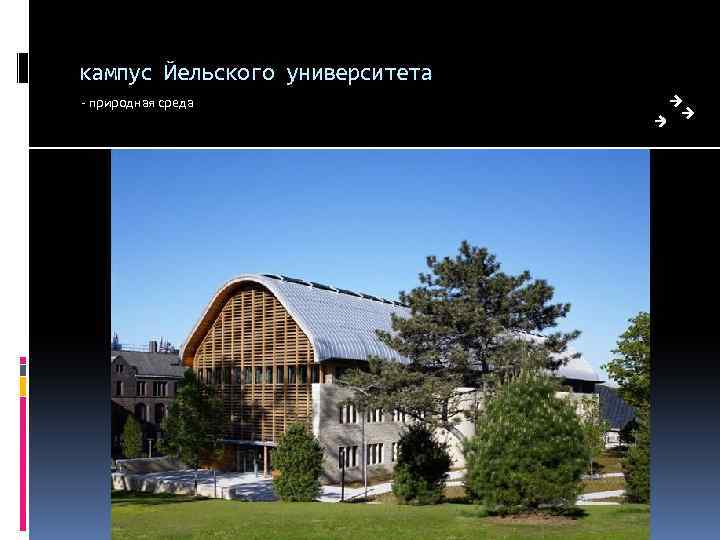 кампус Йельского университета - природная среда 