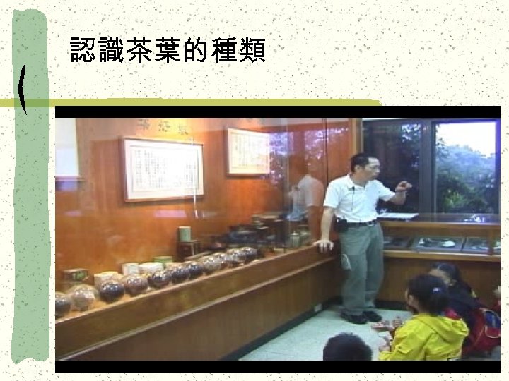 認識茶葉的種類 