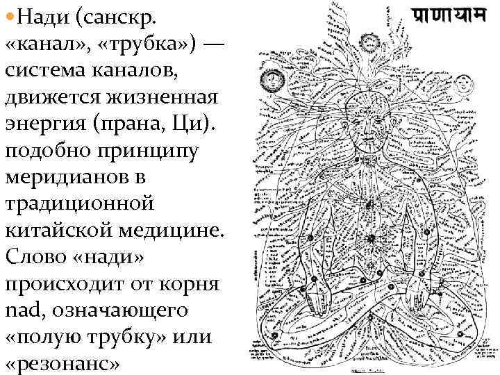  Нади (санскр. «канал» , «трубка» ) — система каналов, движется жизненная энергия (прана,