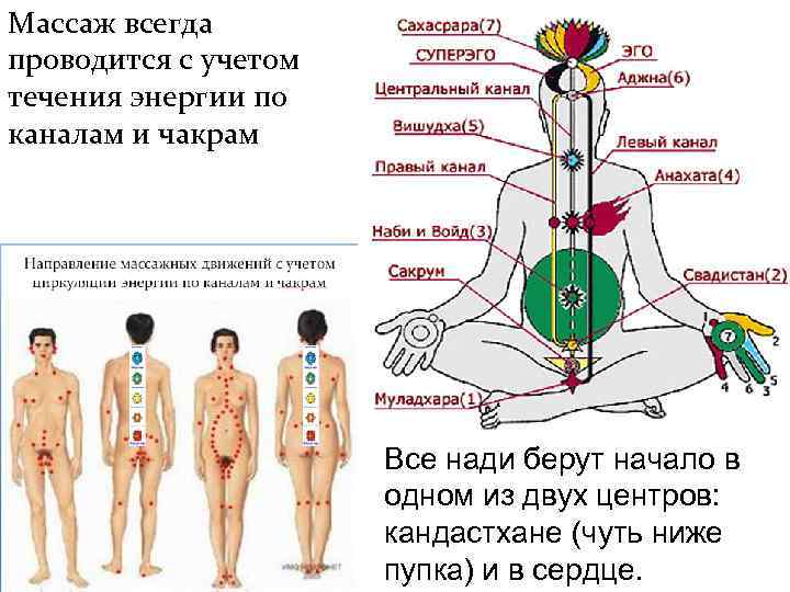 Массаж всегда проводится с учетом течения энергии по каналам и чакрам Все нади берут