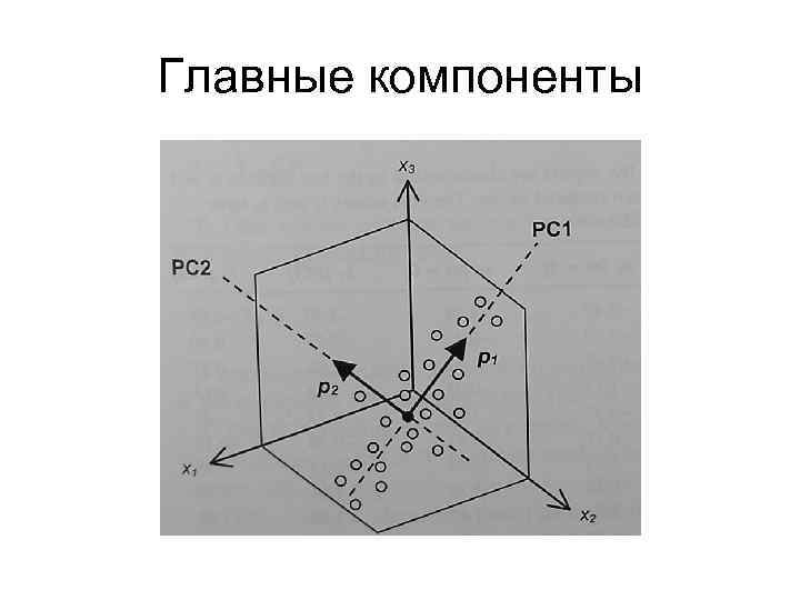 Главные компоненты 