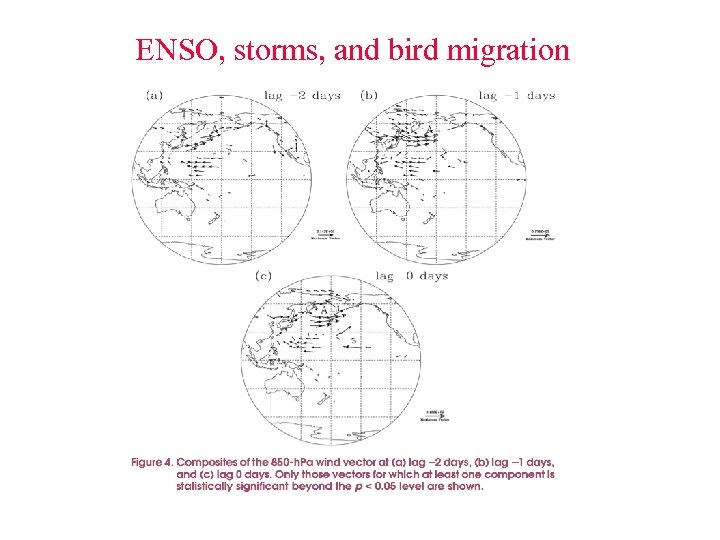 ENSO, storms, and bird migration 