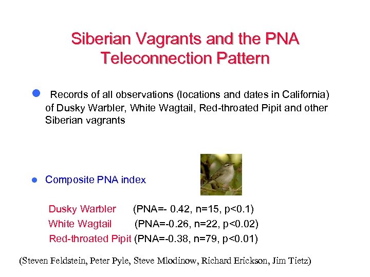 Siberian Vagrants and the PNA Teleconnection Pattern l Records of all observations (locations and