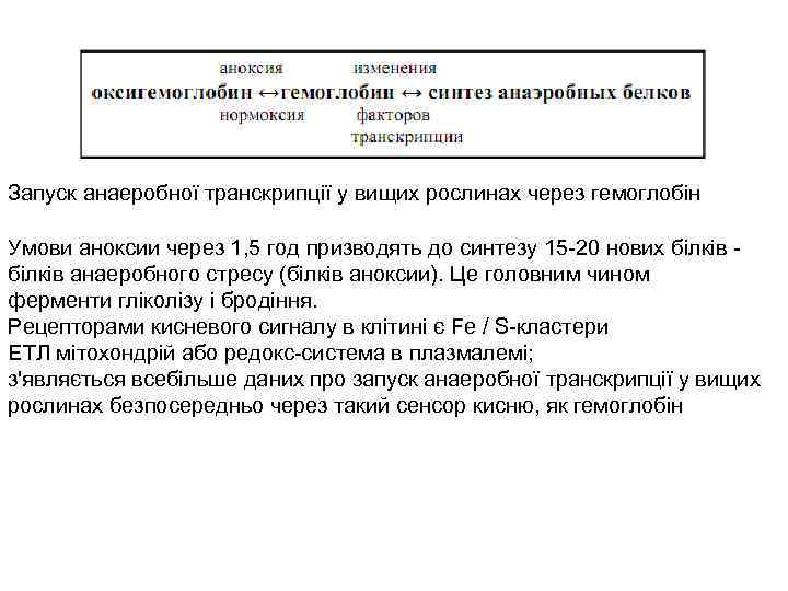 Запуск анаеробної транскрипції у вищих рослинах через гемоглобін Умови аноксии через 1, 5 год