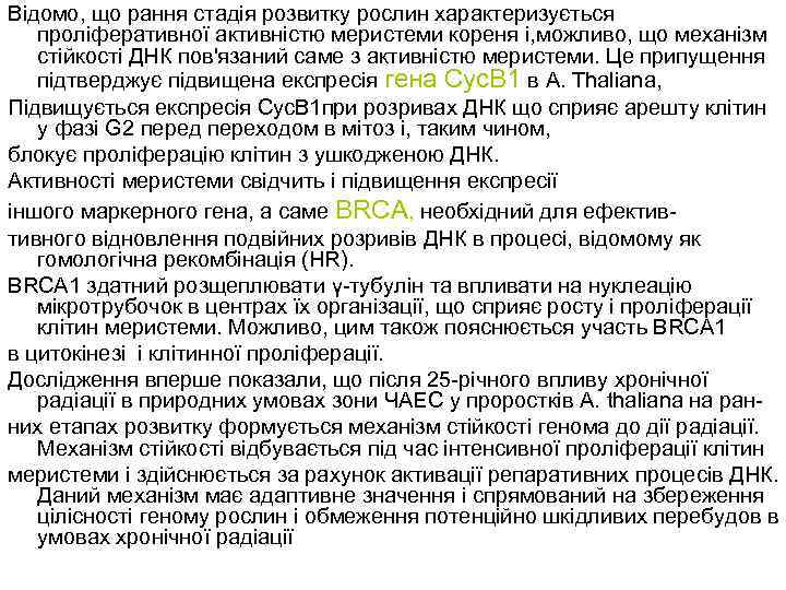 Відомо, що рання стадія розвитку рослин характеризується проліферативної активністю меристеми кореня і, можливо, що