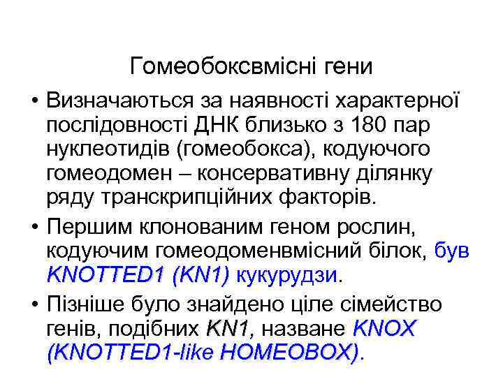 Гомеобоксвмісні гени • Визначаються за наявності характерної послідовності ДНК близько з 180 пар нуклеотидів