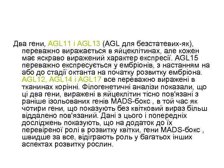 Два гени, AGL 11 і AGL 13 (AGL для безстатевих-як), переважно виражається в яйцеклітинах,