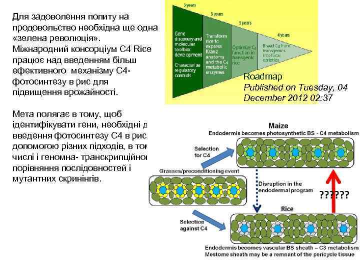 Для задоволення попиту на продовольство необхідна ще одна «зелена революція» . Міжнародний консорціум C