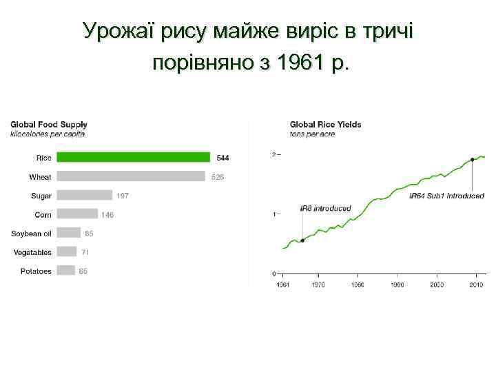 Урожаї рису майже виріс в тричі порівняно з 1961 р. 