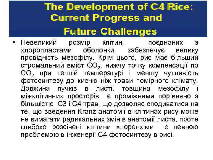 The Development of C 4 Rice: Current Progress and Future Challenges • Невеликий розмір