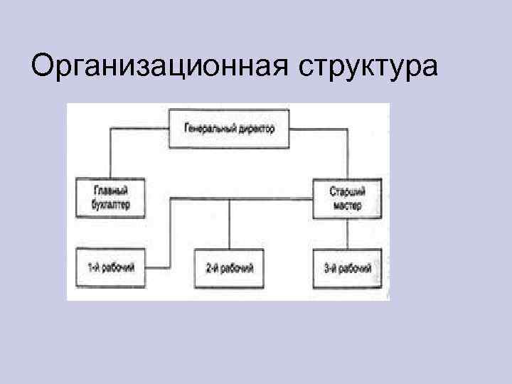 Организационная структура 