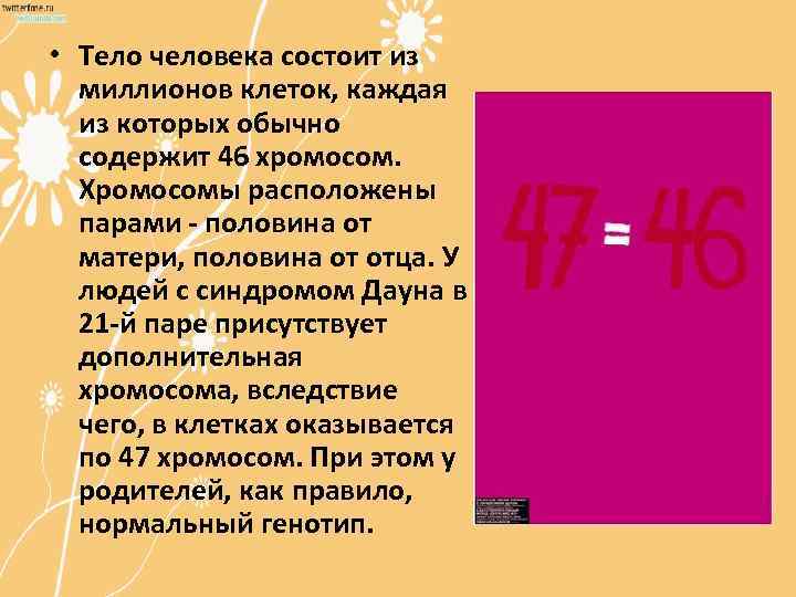  • Тело человека состоит из миллионов клеток, каждая из которых обычно содержит 46