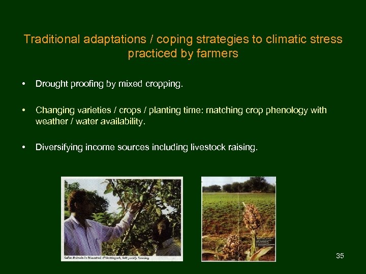 Traditional adaptations / coping strategies to climatic stress practiced by farmers • Drought proofing