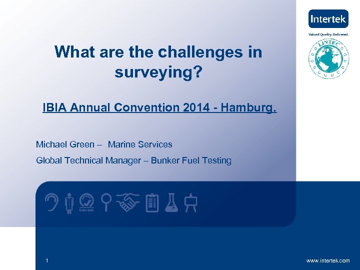 What are the challenges in surveying? IBIA Annual Convention 2014 - Hamburg. Michael Green