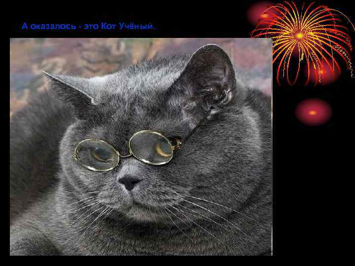 А оказалось - это Кот Учёный. 