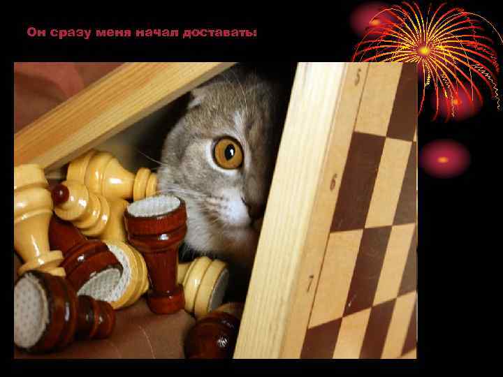 Он сразу меня начал доставать: 