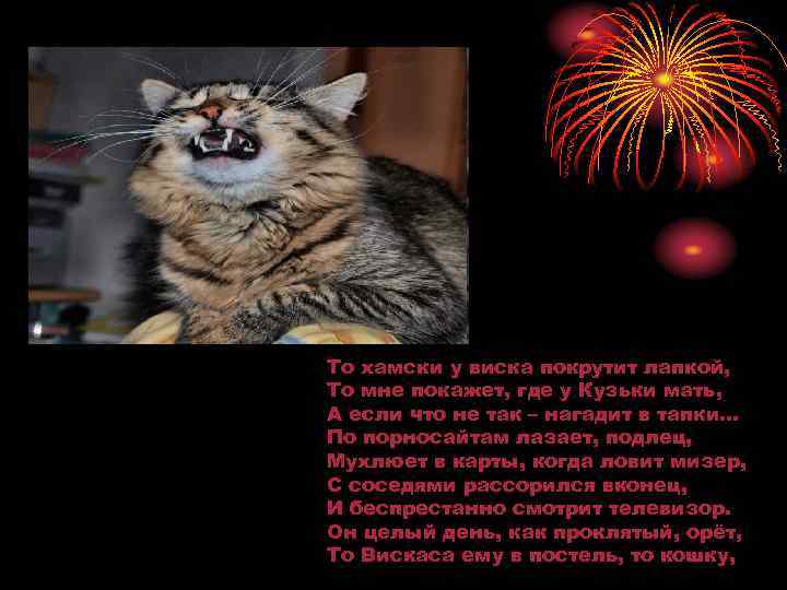То хамски у виска покрутит лапкой, То мне покажет, где у Кузьки мать, А