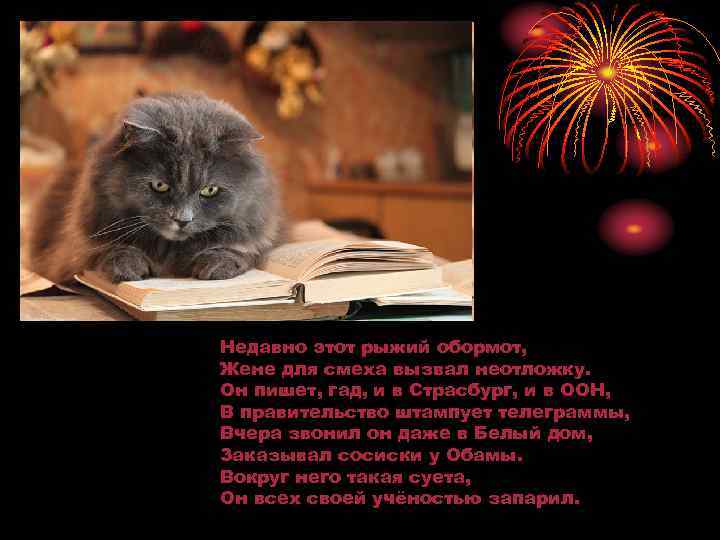 Недавно этот рыжий обормот, Жене для смеха вызвал неотложку. Он пишет, гад, и в