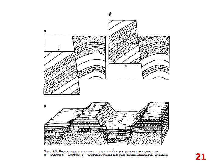 Разрыв сплошности. Горст антиклинорий. Грабен синклинорий. Горст синклиналь. Антиклиналь синклиналь моноклиналь.