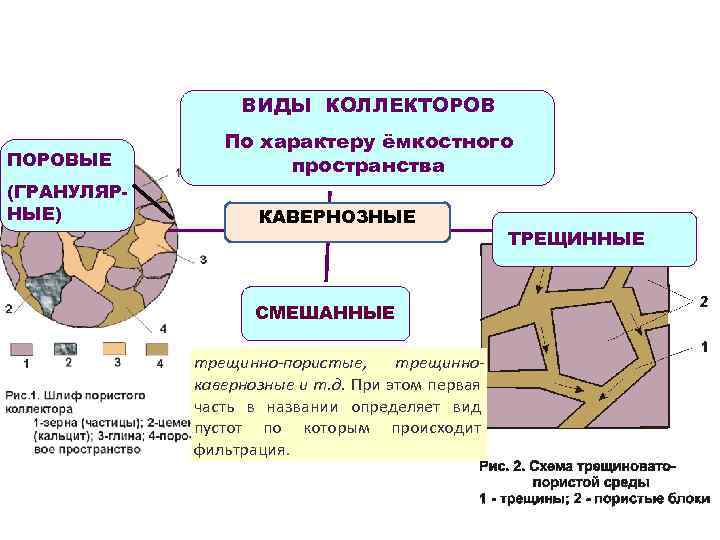 ВИДЫ КОЛЛЕКТОРОВ ПОРОВЫЕ (ГРАНУЛЯРНЫЕ) По характеру ёмкостного пространства КАВЕРНОЗНЫЕ СМЕШАННЫЕ трещинно-пористые, трещиннокавернозные и т.