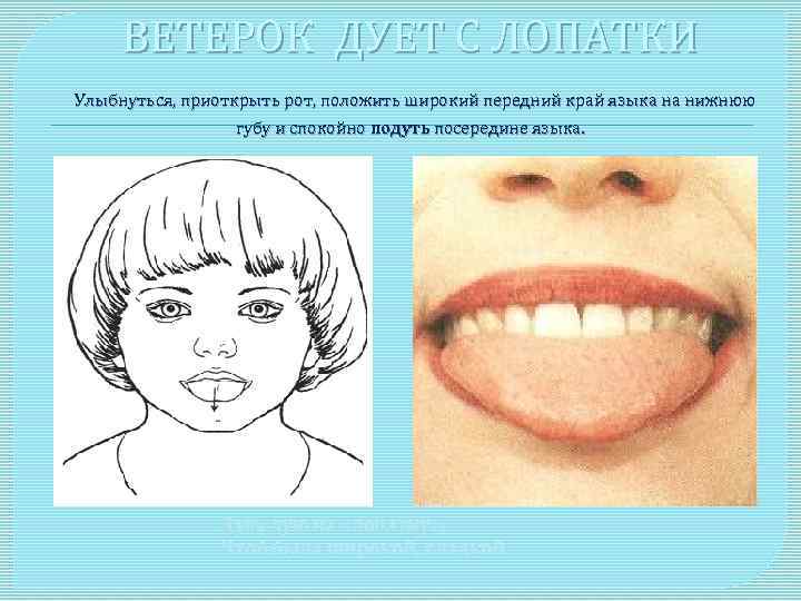  ВЕТЕРОК ДУЕТ С ЛОПАТКИ Улыбнуться, приоткрыть рот, положить широкий передний край языка на