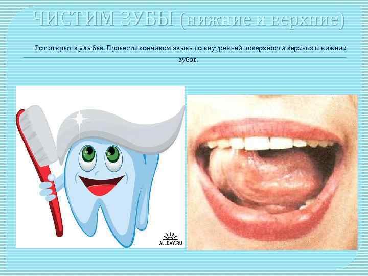 ЧИСТИМ ЗУБЫ (нижние и верхние) Рот открыт в улыбке. Провести кончиком языка по внутренней