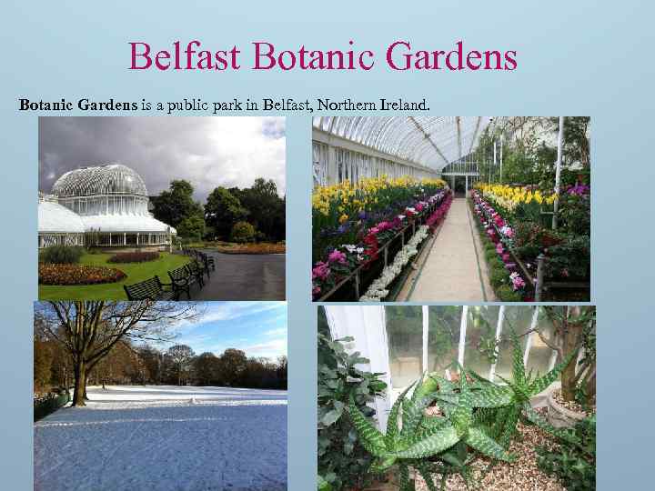 Belfast Botanic Gardens is a public park in Belfast, Northern Ireland. 